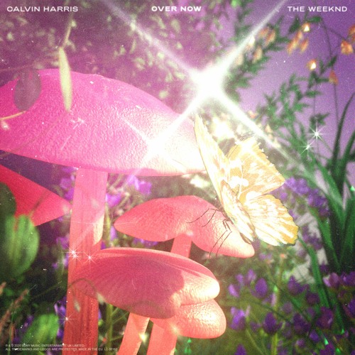 Calvin Harris X The Weekend